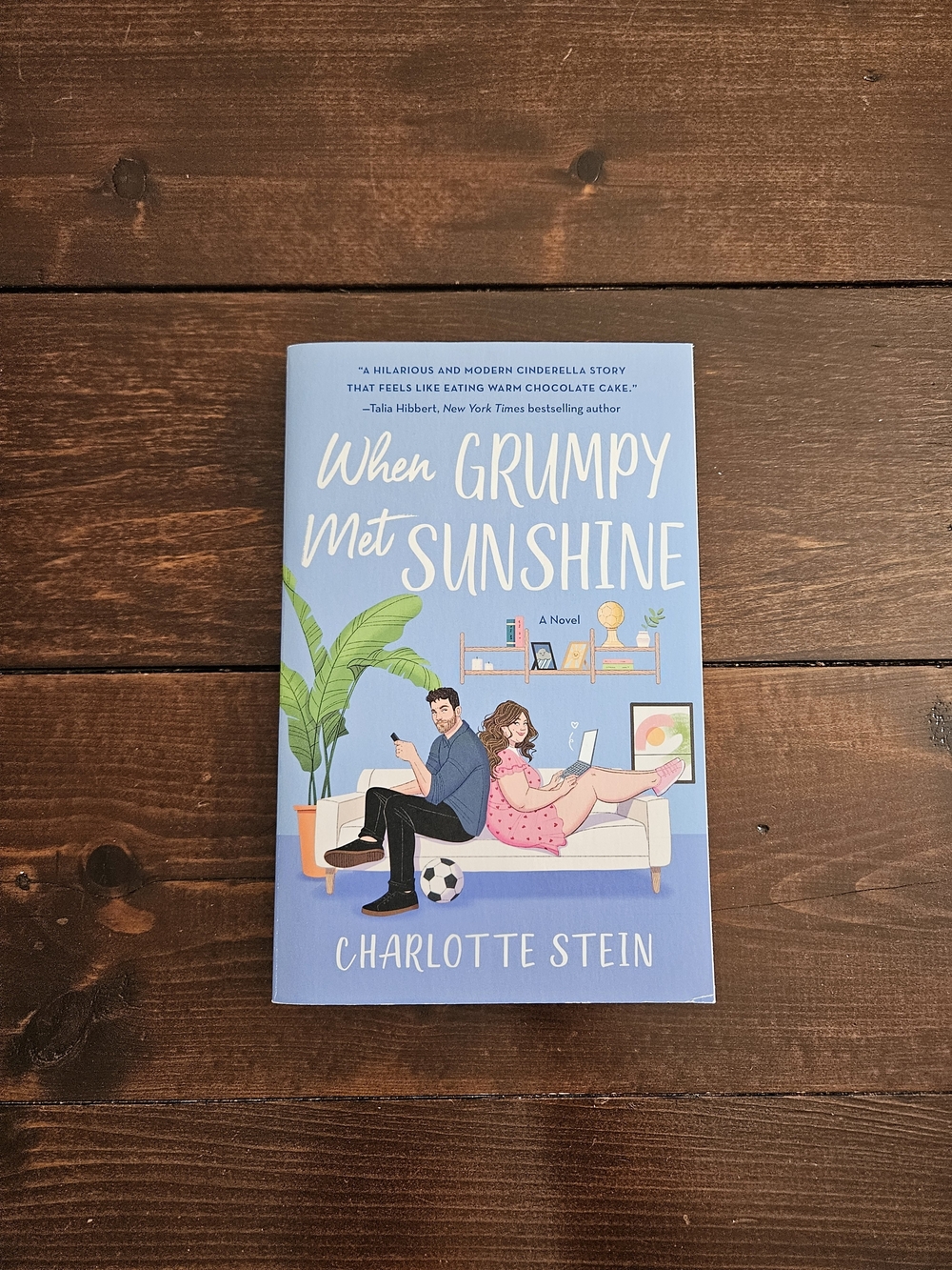 When Grumpy Met Sunshine by Charlotte Stein Paperback Spicy Romance 18+